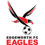 Логотип команды Эджуорт Иглз Логотип команды Эджуорт Иглз