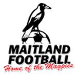 Логотип команды Мейтленд Логотип команды Мейтленд